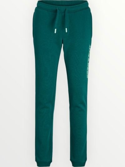 Παντελόνι Φούτερ Jack & Jones Κυπαρισσί (12259888)
