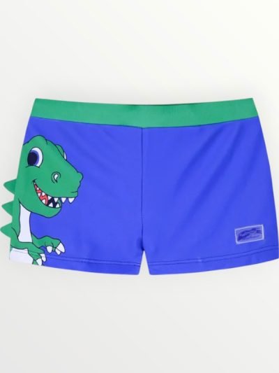 Μαγιό Boxer Energiers Ρουά (32-225110-8)